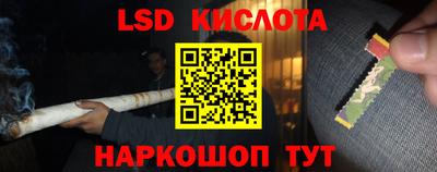 хмурый Тара